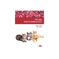 Edra Spa Feline endocrinology (häftad, eng)