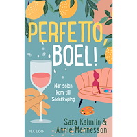 Sara Kalmlin Perfetto, Boel! : när solen kom till Söderköping (inbunden)