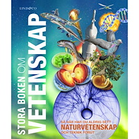 Abigail Beall Stora boken om vetenskap : så här har du aldrig sett naturvetenskap och teknik förut (inbunden)
