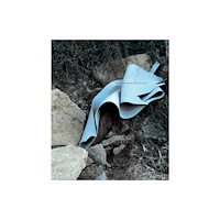 Radius Books Janelle Lynch: Barcelona (inbunden, eng)