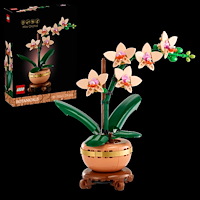 LEGO® LEGO® Botanicals 10343 Mini Orchid