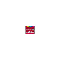 Transcend Information Transcend Premium - flash-minneskort - 256 GB - CompactFlash