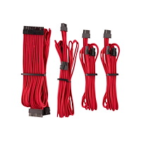 Corsair CORSAIR Premium individually sleeved starter kit (Type 4, Generation 4) - strömkabelsats - 61 cm