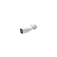 LevelOne LevelOne GEMINI series FCS-5212 - nätverksövervakningskamera