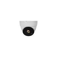 LevelOne LevelOne ACS-5302 - övervakningskamera - kupol