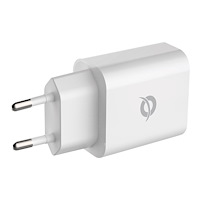 Conceptronic Conceptronic ALTHEA strömadapter - 24 pin USB-C - 25 Watt