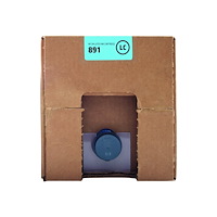 Hewlett-Packard HP 891 - ljus cyan - original - bläckpatron