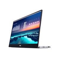 DELL Dell P1424H - LED-skärm - Full HD (1080p) - 14"