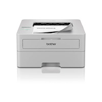 Brother Brother HL-L2865DW - skrivare - svartvit - laser