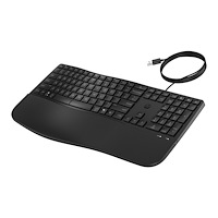 Hewlett-Packard HP 485 Comfort - tangentbord - fler enheter, 23 programmerbara tangenter, 3-zon layout full size - hela norden - svart I...