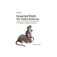 O'Reilly Media Essential Math for Data Science (häftad, eng)