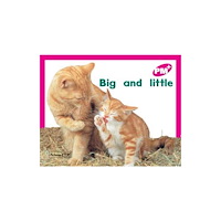 Cengage Learning Australia Big and little (häftad, eng)