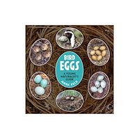 Firefly Books Ltd Bird Eggs (häftad, eng)
