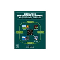 Elsevier - Health Sciences Division Biochar for Environmental Remediation (häftad, eng)