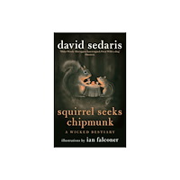Little, Brown Book Group Squirrel Seeks Chipmunk (häftad, eng)
