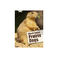 Pearson Education Limited Bug Club Independent Non Fiction Year Two White B Black-tailed Prairie Dogs (häftad, eng)