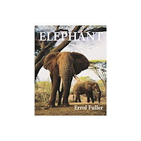 Princeton University Press Elephant (inbunden, eng)