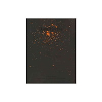 Black Ocean Dark Matter (häftad, eng)