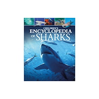 Arcturus publishing ltd Children's Encyclopedia of Sharks (inbunden, eng)