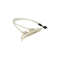 DeLOCK Delock - USB-panel - 10-stifts USB-överdel till USB - 30 cm