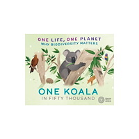 Hachette Children's Group One Life, One Planet: One Koala in Fifty Thousand (häftad, eng)