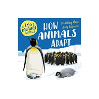 Hachette Children's Group Zany Brainy Animals: How Animals Adapt (häftad, eng)