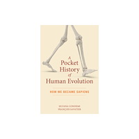 The  Experiment LLC A Pocket History of Human Evolution (häftad, eng)