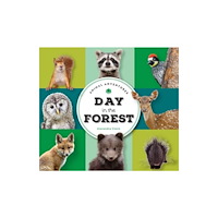 The Collective Book Studio Animal Adventures: Day in the Forest (bok, board book, eng)