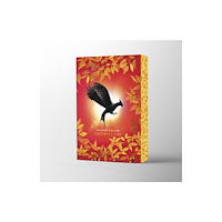 Scholastic Catching Fire Deluxe (häftad, eng)