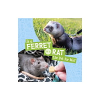 Capstone Global Library Ltd Is a Ferret or a Rat the Pet for Me? (inbunden, eng)