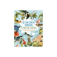 Arcturus publishing ltd Audubon Birds Colouring Kit (häftad, eng)