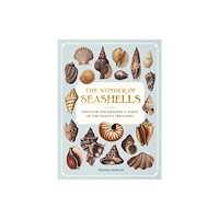 Quarto Publishing Group USA Inc The Wonder of Seashells (inbunden, eng)
