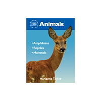 New Holland Publishers Reed Mini Guide: Animals (häftad, eng)