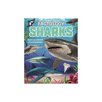 Button Books Factology: Sharks (inbunden, eng)