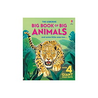 Usborne Publishing Ltd Big Book of Big Animals (inbunden, eng)