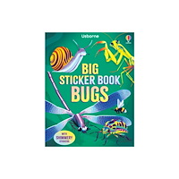 Usborne Publishing Ltd Big Sticker Book Bugs (häftad, eng)