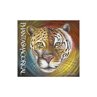 Troubador Publishing Phantasmagorical (häftad, eng)