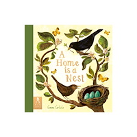 Templar Books A Home is a Nest (inbunden, eng)