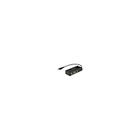 DeLOCK Delock Adapter USB-C 3.1 Gen 1 > 2 x Gigabit LAN 10/100/1000 Mb/s - nätverksadapter - USB 3.1 Gen 1 - Gigabit Ethernet x...