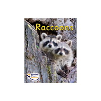 Ransom Publishing Raccoons (häftad, eng)