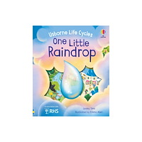 Usborne Publishing Ltd One Little Raindrop (bok, board book, eng)
