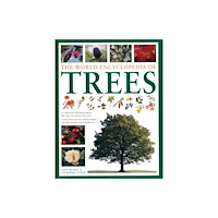 Anness publishing World Encyclopedia of Trees (häftad, eng)
