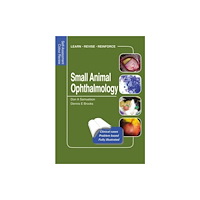 Manson Publishing Ltd Small Animal Ophthalmology (häftad, eng)