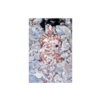 Skira Marina Abramovic: Transforming Energy (inbunden, eng)