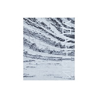 Stockmans Art Books LUCKY / Udachny: Hanne Van Assche (häftad, eng)