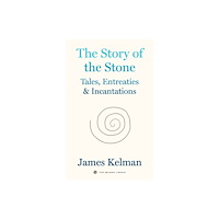 PM Press The Story of Stone (häftad, eng)