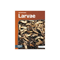 North Star Editions Larvae (inbunden, eng)