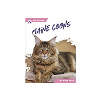 North Star Editions Maine Coons (häftad, eng)
