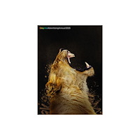 Graphis US Inc Graphis Advertising Annual 2025 (inbunden, eng)