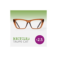 That Company Called If Easy Readers - Recycled Taupe Cat (2.5)